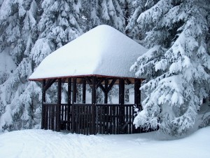 2001.12.15 14.49.55.jpg